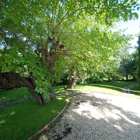 Le Mas Des Vieux Muriers Grimaud