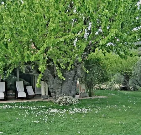 Le Mas Des Vieux Muriers Nocleg ze śniadaniem Grimaud